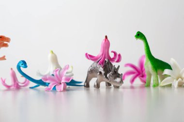 Pembe çiçekli dinozor koleksiyonları