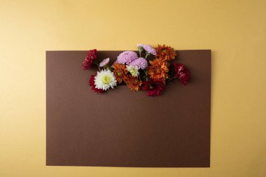Kahverengi kağıtta sonbahar çiçeği buketi