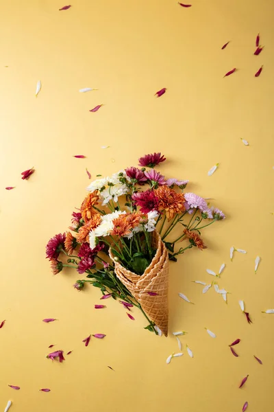 Chryzantémové Květiny Konceptu Vaflovače Podzim — Stock fotografie