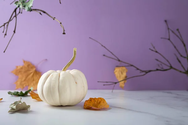 Nature Morte Automne Avec Citrouille Blanche Concept Halloween — Photo