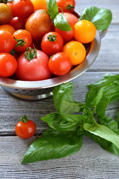 Tomatoes and basil in a colander — Stock Photo, Image