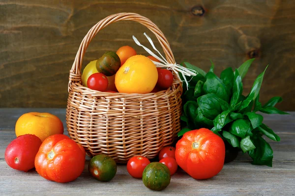 Tomato harvest in a basket — Stock Photo, Image