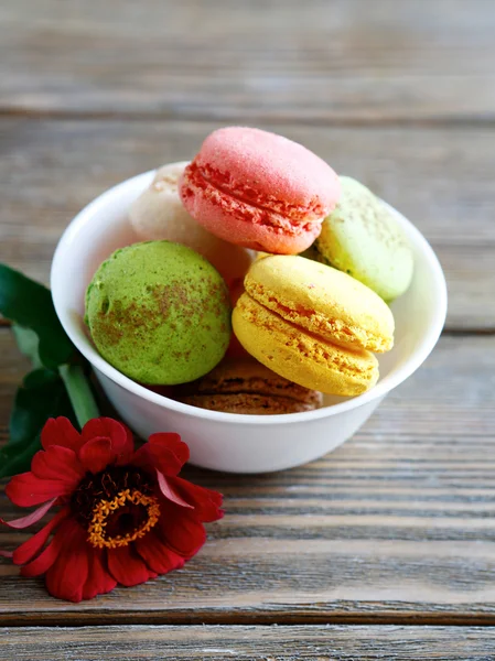 Colorful macaroons in small bowl — Stock Photo, Image