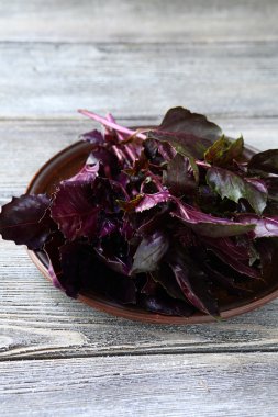 Mor fesleğen yaprakları plaka üzerinde