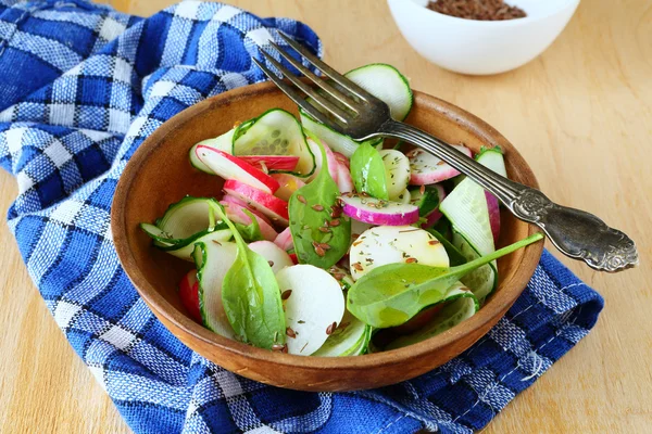 Salade de légumes de printemps — Photo