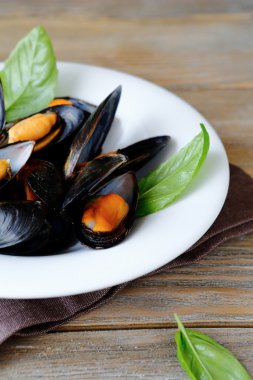  Midye beyaz tabak taze fesleğen ile süslenmiş görev yaptı.