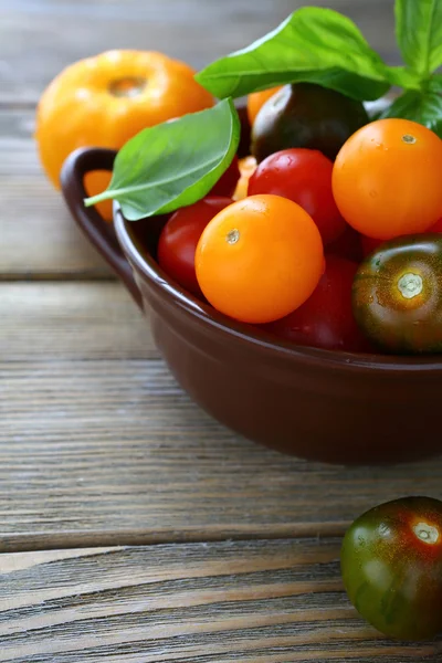 Yellow and red tomatoes — Stock Photo, Image