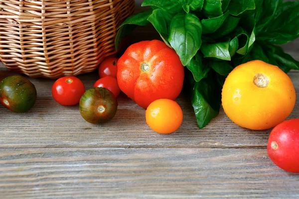 Verschiedene Tomatensorten mit Basilikumblättern — Stockfoto