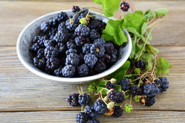 Schwarze Brombeeren in einer Schüssel — Stockfoto