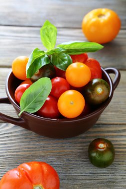 Bir kasede taze domates