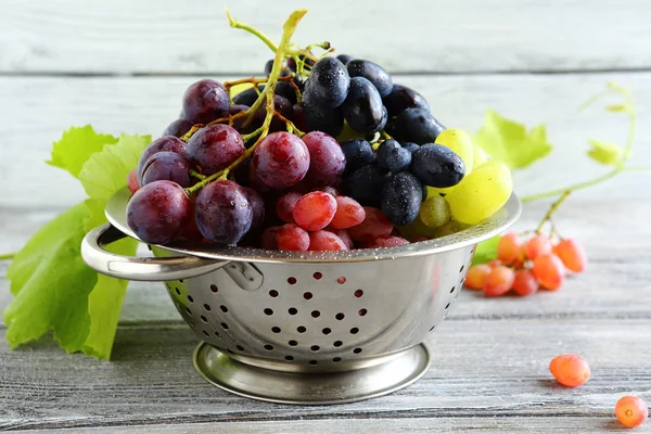 Different varieties of grapes in colander — Stock Photo, Image