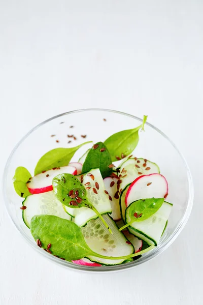 Summer salad with cucumbers and radishes — Stock Photo, Image