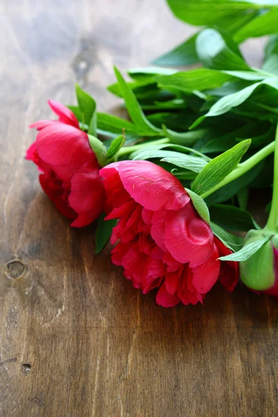 Peonia rossa su sfondo di legno — Foto Stock