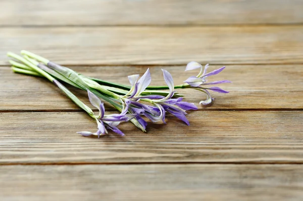 Flowers on brown boards — Stock Photo, Image