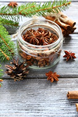 aromatik anason ve tarçın ile Komiteler çam dalları