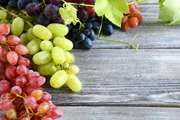 Grapes of different varieties — Stock Photo, Image