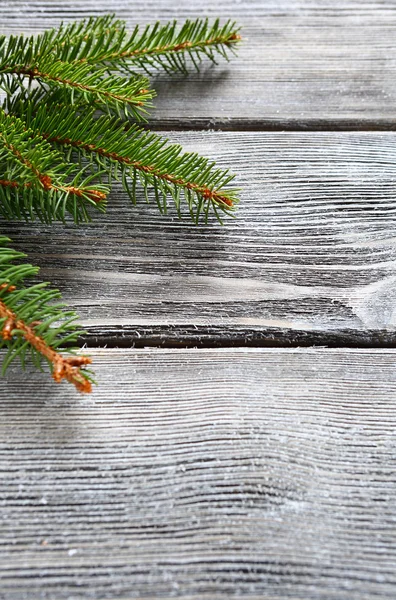 Rama de pino de Navidad en tablas de madera —  Fotos de Stock