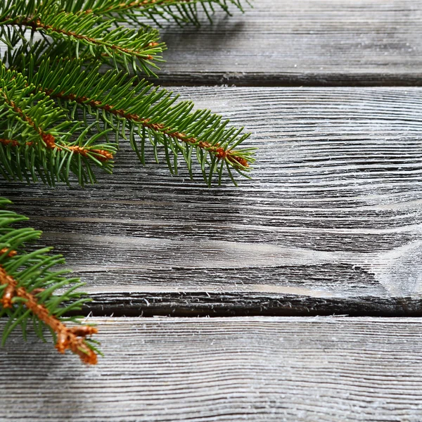 Pine tak op een bord, Kerstmis. — Stockfoto