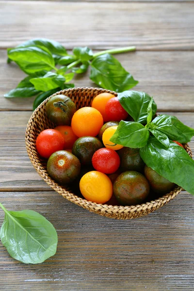 Tomatoes with basil in a wicker basket — Stock Photo, Image