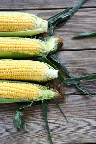 Mısır koçanı yeşil yaprakları — Stok fotoğraf