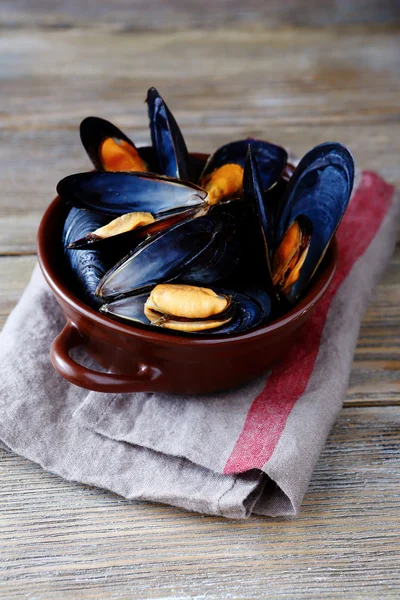 Blå musslor i skal — Stockfoto