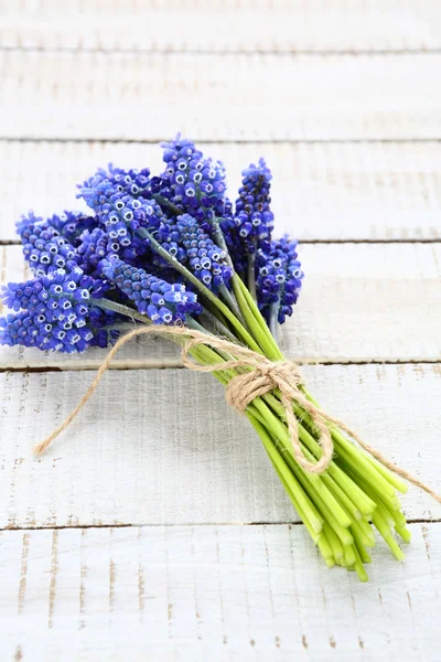 Hyacinth on the boards — Stock Photo, Image