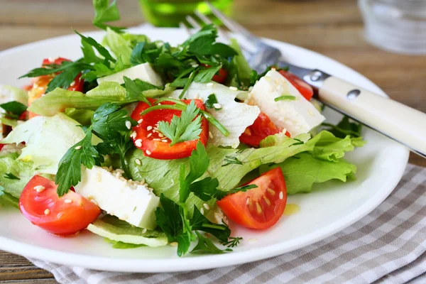 Sebzeli ve peynirli taze salata — Stok fotoğraf