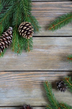 Noel çam dalı panoları koni ile