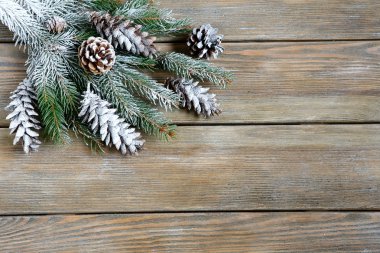 Xmas köknar dalı panoları koni ile