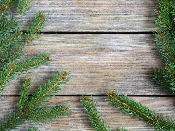 Rahmen mit weihnachtlichem grünen Tannenzweig auf Holzbrettern — Stockfoto