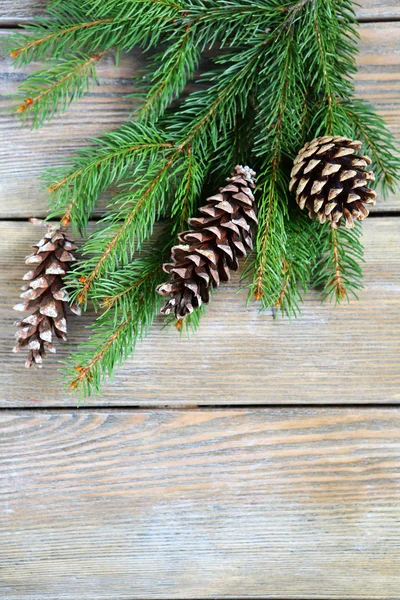 Ramo de abeto de Natal com cones em conselhos — Fotografia de Stock