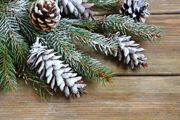 Kerstmis fir branch bedekt met kunstmatige sneeuw — Stockfoto