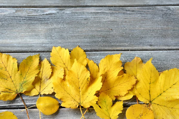 Foglie gialle sulle tavole — Foto Stock