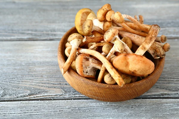 Mushrooms in a bowl on wooden boards — Stock Photo, Image