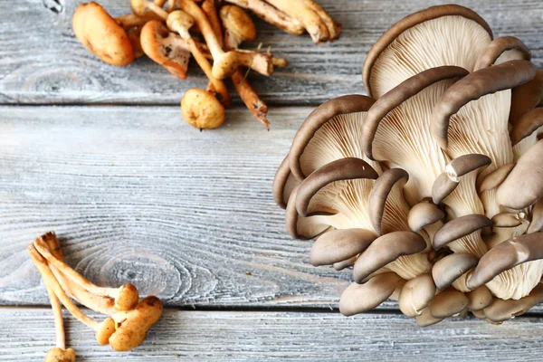 Oysters and honey mushrooms on the boards — Stock Photo, Image