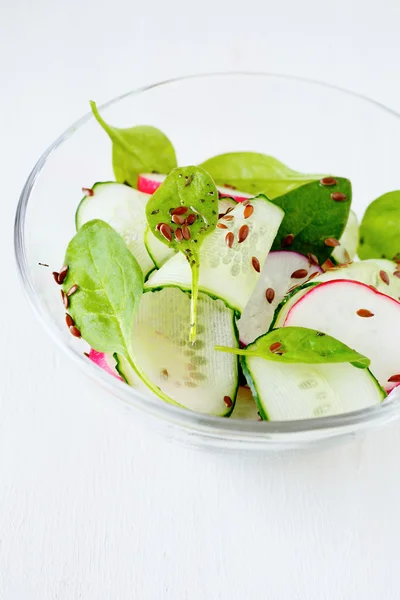 Light breakfast of radishes and cucumber. Salad — Stock Photo, Image