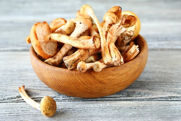 Smakelijke paddestoelen in een kom — Stockfoto