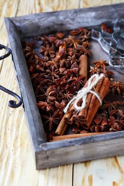 肉桂和茴香的木托盘 — 图库照片