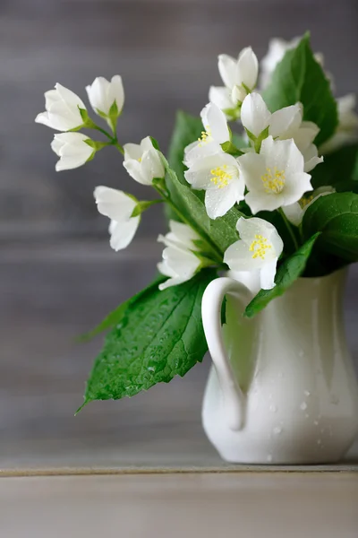 Jasmim em um vaso branco em tábuas de madeira — Fotografia de Stock