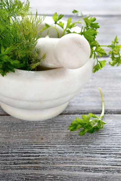 Greens herbs in a white Mortar — Stock Photo, Image