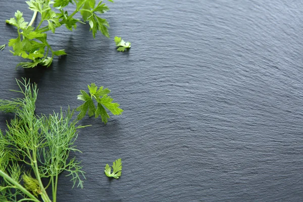 Dill en peterselie — Stockfoto