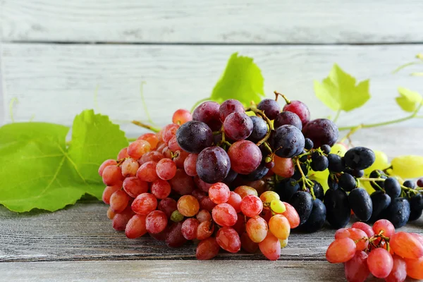 Mixed Grapes on the boards — Stock Photo, Image