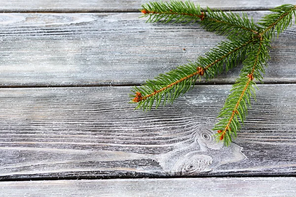 Pine branch on a wooden background — Stock Photo, Image
