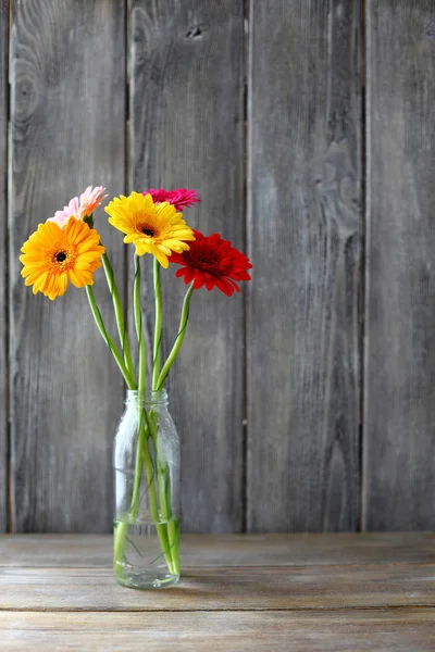 Buquê de gerberas em um vaso — Fotografia de Stock