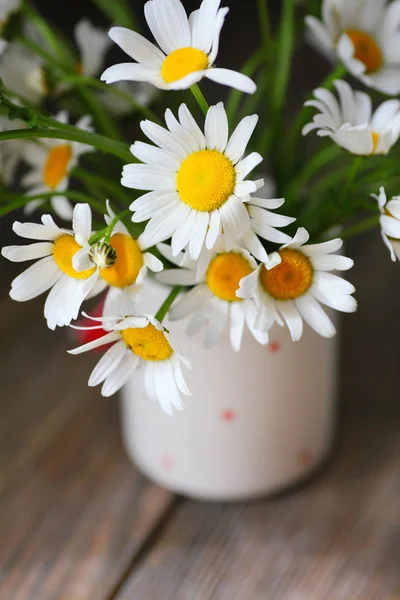 在白色的花瓶，在木板上的洋甘菊 — 图库照片