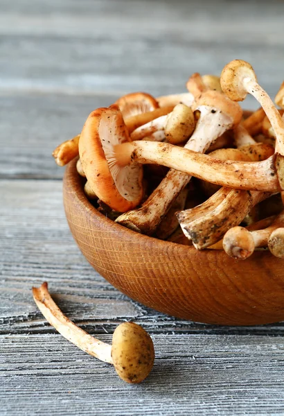 Wild mushrooms in a bowl — Stock Image Wild mushrooms in a bowl Royalty Free Stock Images