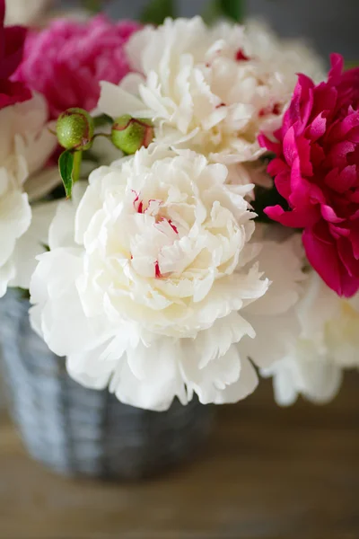 Peonie in vaso vecchio — Foto Stock