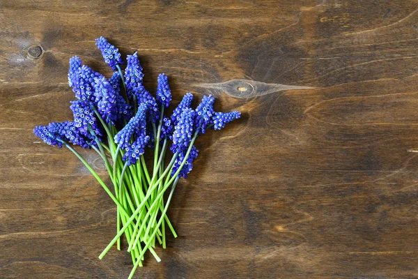 Hyacinth on wooden background — Stock Photo, Image