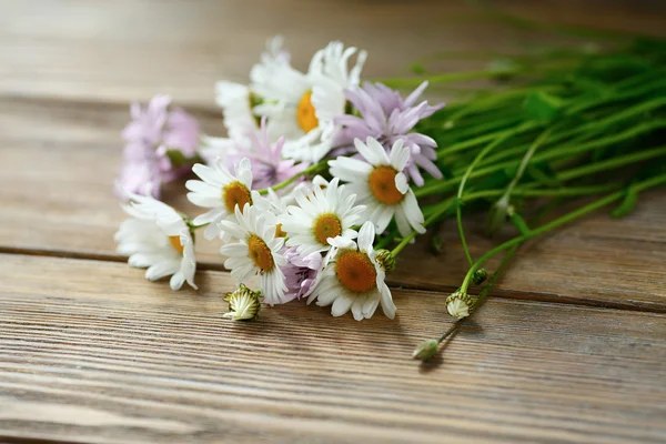 Daisies on wooden boards — Stock Photo, Image