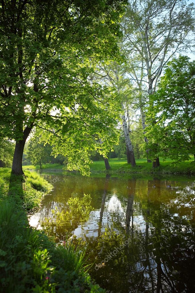 Весенний пейзаж — Стоковое фото © olhaafanasieva #59503779